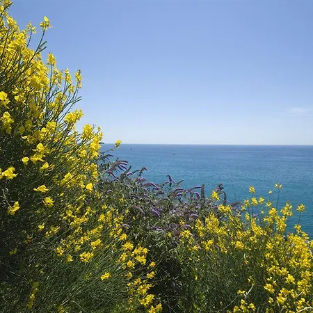 فندق La Fiorita *