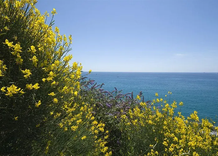 Ξενοδοχείο La Fiorita *